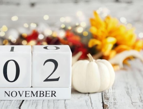 25.11.2 더샘물교회 주보