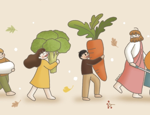 감사로 채워지는 시간들