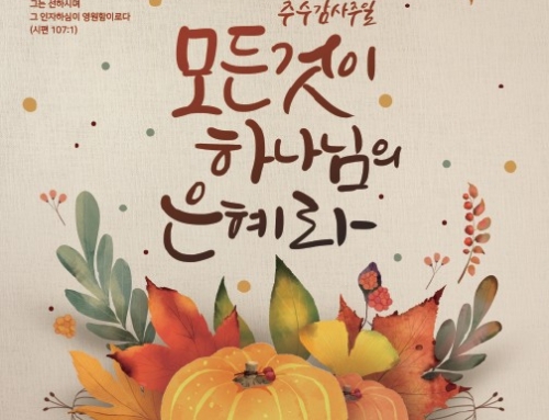 감사를 선택하기