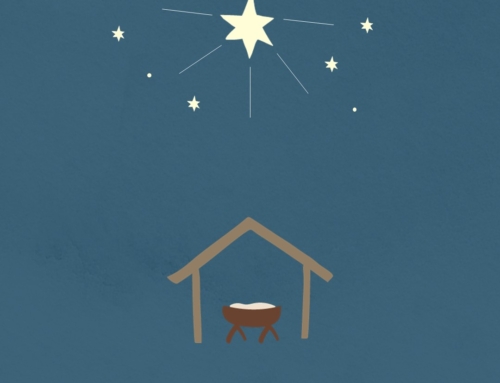 성탄나무 이야기