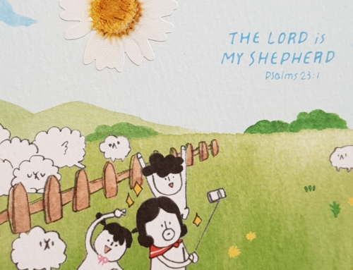 목장 – 새로운 가족을 만나는 그릇