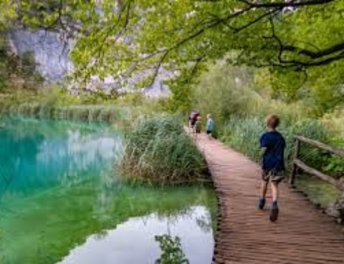 분주한 일상을 잠시 내려놓으며…